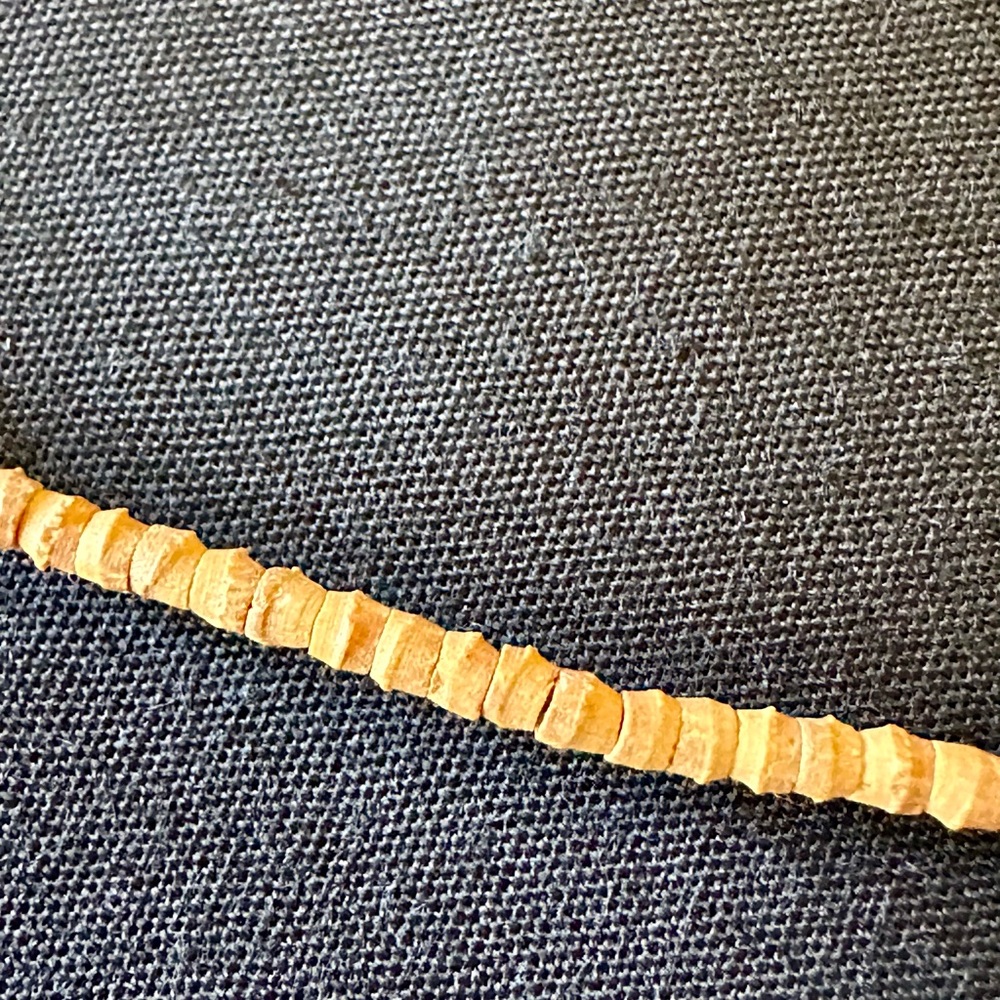 Shell Choker - Picture 6 of 8